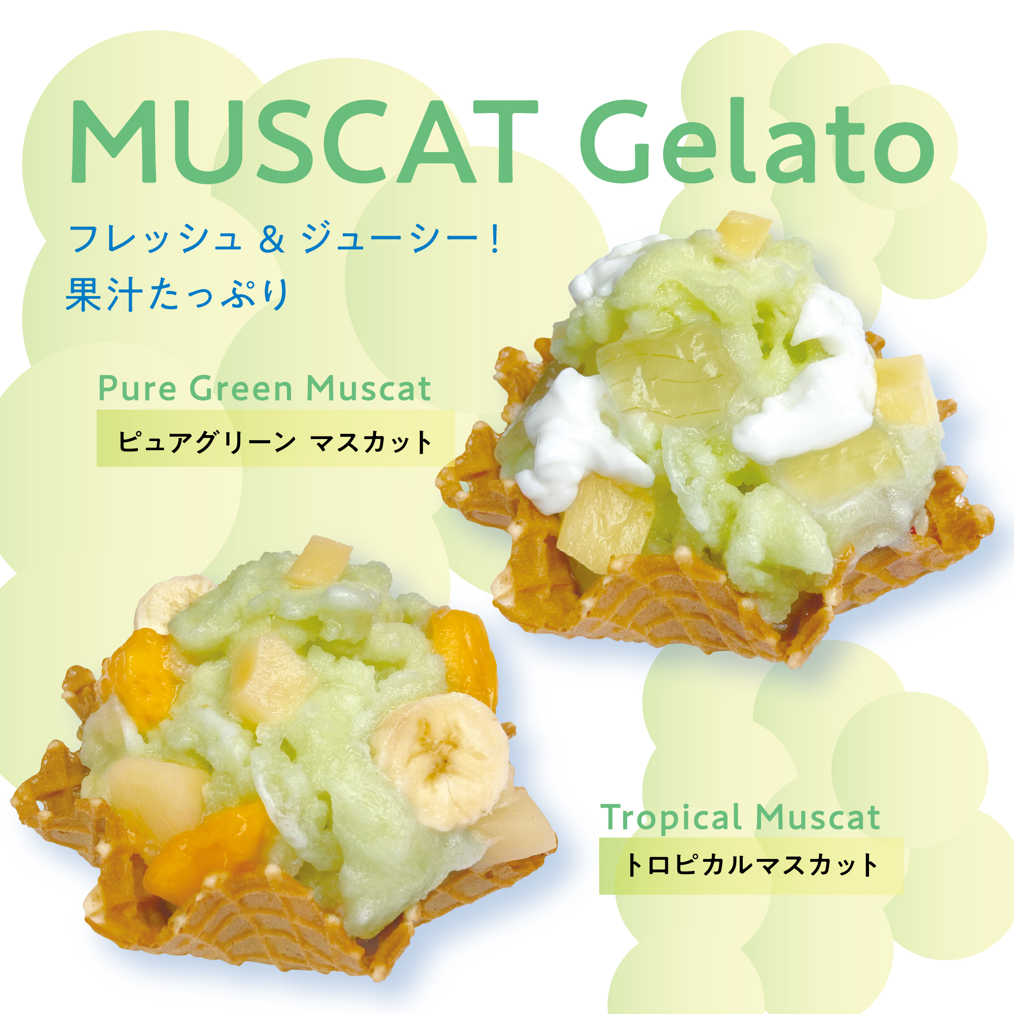 画像：マスカット